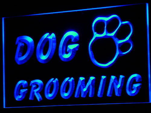 Dog Grooming Pet Shop Display
